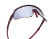 Picture of COSMO 103-04