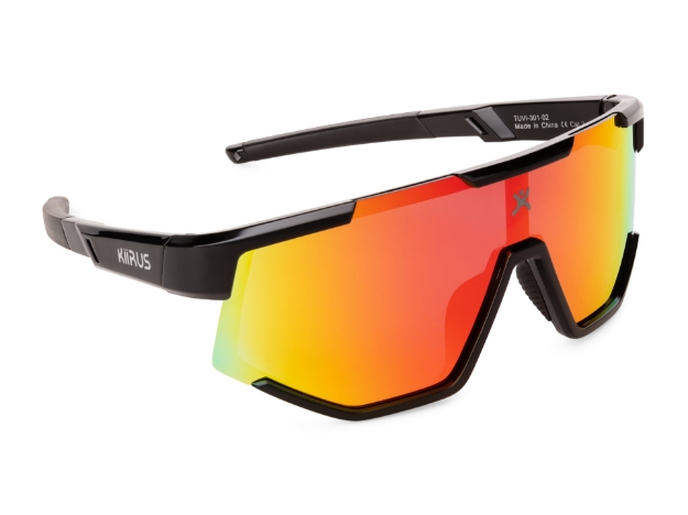 Pilt TUVI-301-01